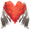 FODASA Logo